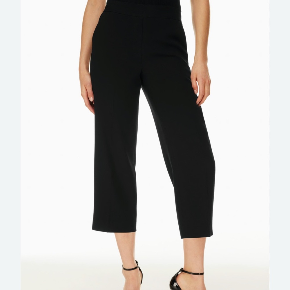 Babaton Conan Cropped Pant from Aritzia 4